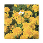 Marigold Flowers and a Daisy Flower Magnet