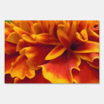 Marigold II yard signs