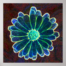 Marigold in Blue Photo Poster