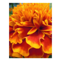 MARIGOLD PETALS LETTERHEAD DESIGN