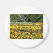 marigold scenery fridge magnets