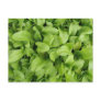 Marigold Seedlings Postcard