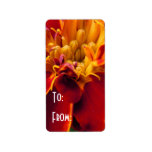 Marigold Up Close labels