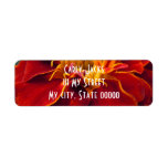 Marigold Up Close labels