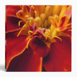 Marigold Up Close binders
