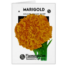 Marigold Vintage Seed Packet Cards