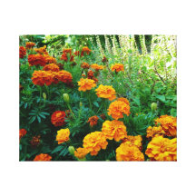 Marigold Wrapped Canvas Print