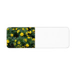 Marigolds and daisies custom return address labels