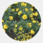 Marigolds and daisies round sticker