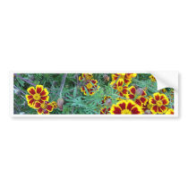 Marigolds Bumper Sticker