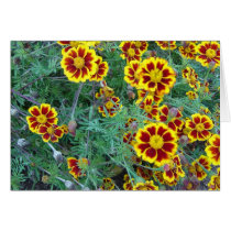 Marigolds Greeting Cards
