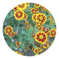 Marigolds Sticker
