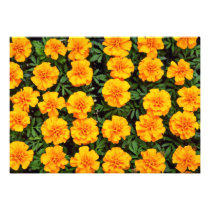 Marigolds Yellow flowers invitations