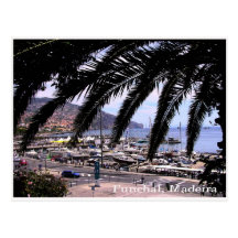 Marina view @ Funchal Postcard