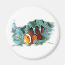 Marine Aquarium Fish by FishTs.com Fridge Magnets