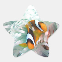 Marine Life Stickers