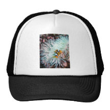 Marine Life Trucker Hat