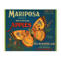 Mariposa Apples Postcard