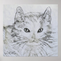 Marius Wall Decor