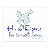 Mark 16.6 postcards