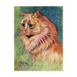 Marmalade Cat with Blue Eyes Postcards