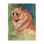 Marmalade Cat with Blue Eyes Postcards