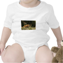 Marmot T-shirt