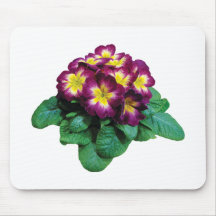 Maroon and Yellow Primroses Mouse Pads