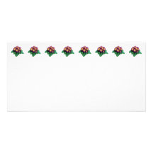 Maroon and Yellow Primroses Photo Card
