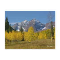 Maroon Bells Series #4, Autumn Reflection. Post Card