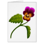 Maroon Garden Viola Card