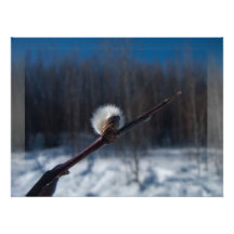Marqueur de ressort art photographique