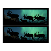 Marqueurs de livre de caribou cartes postales