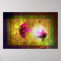 marriage of Titania; Salmon berry floral duet Poster