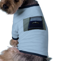 marry me pet shirt
