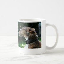 Mars Coffee Mug