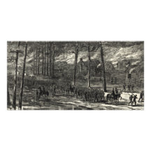 Mars de Sherman vers la mer par la Caroline du Sud Cartes De Vœux Avec Photo