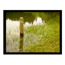 Marsh Postcards