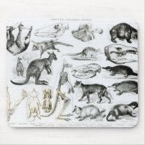 Marsupialia, Monetremata, Edentata mousepads