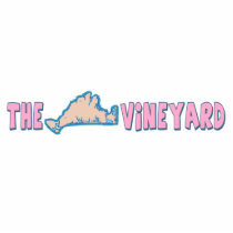 Martha's Vineyard "Map" Design. Acrylic Cut Outs