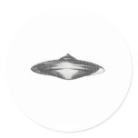 Martian Flying Saucer MCC-4890