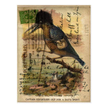 Martin-pêcheur de carte postale