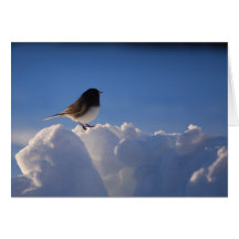 “Marvellous Gorgeous Goddess”/Michigan Greeting Card