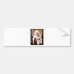 Mary Doody Bumper Stickers