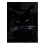 Mary Jane Postcard