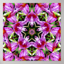 Masdevallia orchid mandala - Print