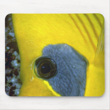 Masked butterfly fish mousepad