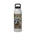 Masked Raccoon Water Bottle