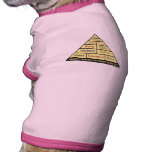 Maslow's Hierarcy of Student Nurse Needs pet clothing