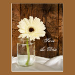Mason Jar White Daisy Quinceañera Save the Date postcards
